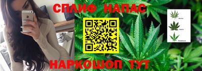 амф Берёзовский