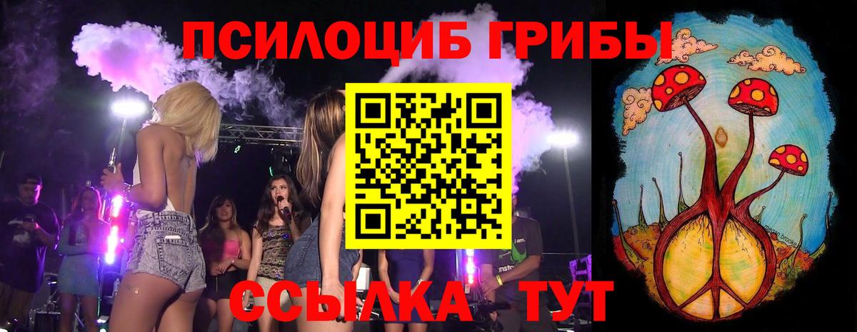 Киселёвск  Галлюциногенные грибы мицелий  Вход с VPN  Галлюциногенные грибы Psilocybe 